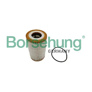 B10448 Borsehung