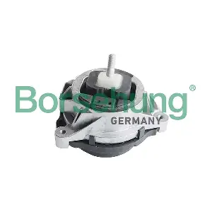 B12603 Borsehung