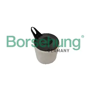 B13060 Borsehung