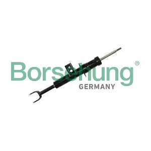 B11186 Borsehung