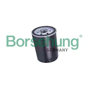 B19032 Borsehung