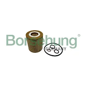 B10440 Borsehung