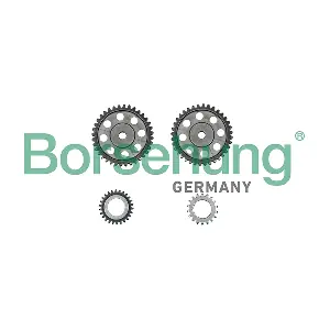 B10213 Borsehung