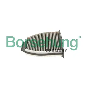 B12850 Borsehung