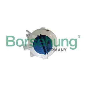 B11943 Borsehung