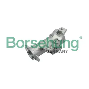 B17983 Borsehung