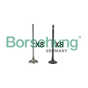 Borsehung B18631
