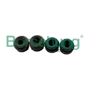 Borsehung B12534