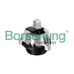 B12630 Borsehung