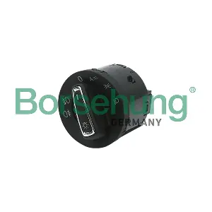 B18691 Borsehung
