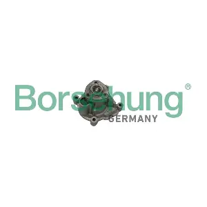 Borsehung B12696