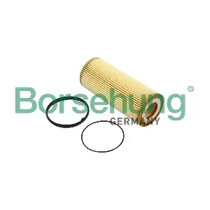 B12820 Borsehung