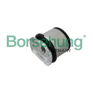 B19198 Borsehung