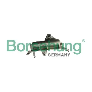 B12947 Borsehung