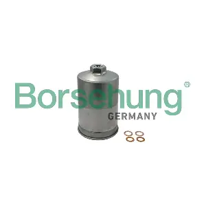 Borsehung B19091