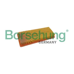 B13064 Borsehung