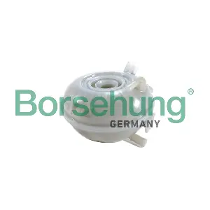 B19060 Borsehung
