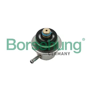 B13669 Borsehung