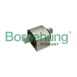 B13078 Borsehung
