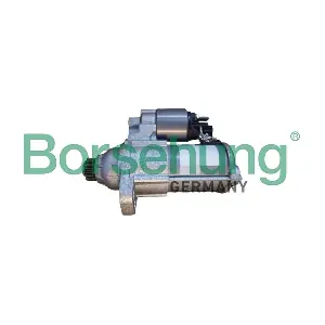 B12876 Borsehung
