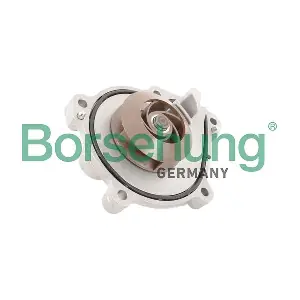 Borsehung B11218