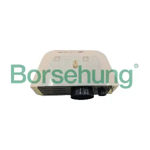 B12363 Borsehung