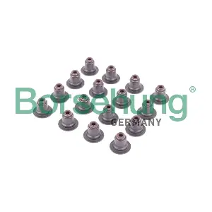 B12506 Borsehung