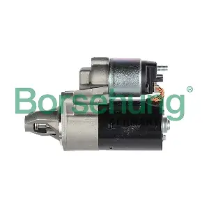 Borsehung B12032