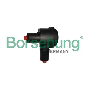 B12190 Borsehung