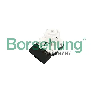 B17988 Borsehung