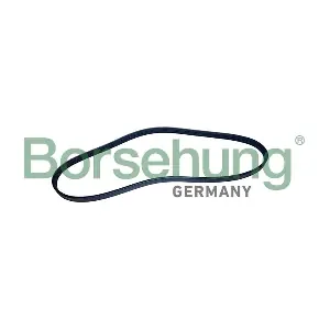 B12497 Borsehung