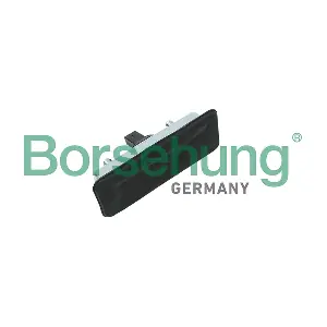B18715 Borsehung