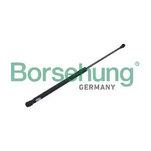B14188 Borsehung