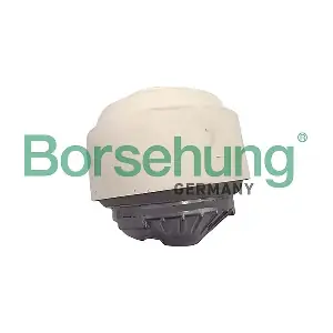 B12653 Borsehung
