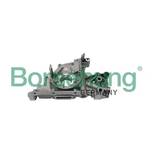 B18759 Borsehung