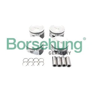 B13580 Borsehung
