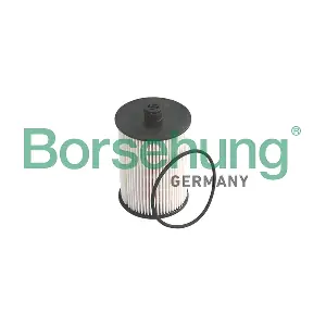 B12199 Borsehung