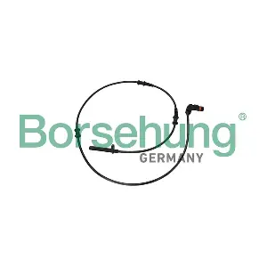 B12245 Borsehung