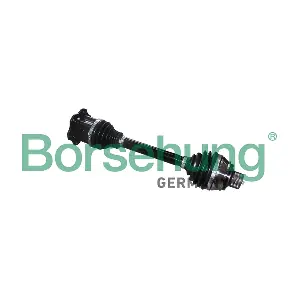 Borsehung B18377