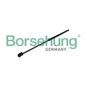 B12062 Borsehung
