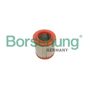 B13073 Borsehung
