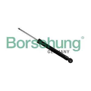 Borsehung B17893