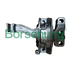 B19099 Borsehung