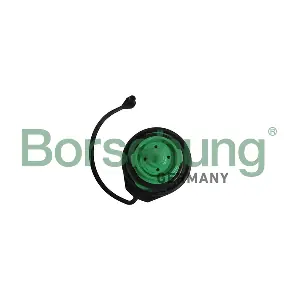 Borsehung B18783