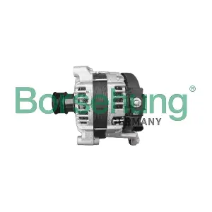 Borsehung B12918