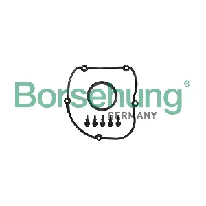 B10629 Borsehung