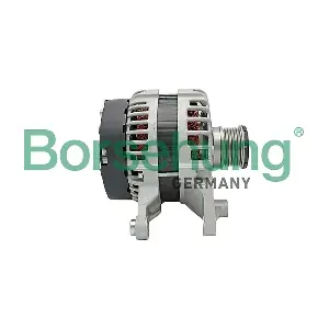 B12666 Borsehung