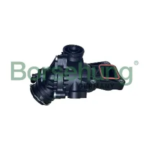 B10559 Borsehung