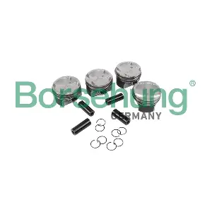 B11134 Borsehung