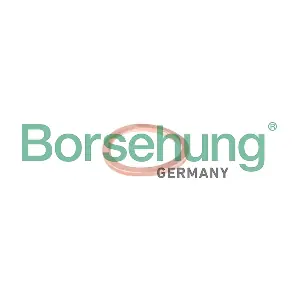 Borsehung B10636